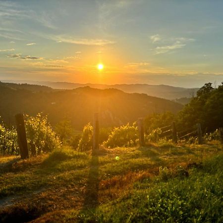 1929 Wine Food Relax Agriturismo Acqui Terme Εξωτερικό φωτογραφία
