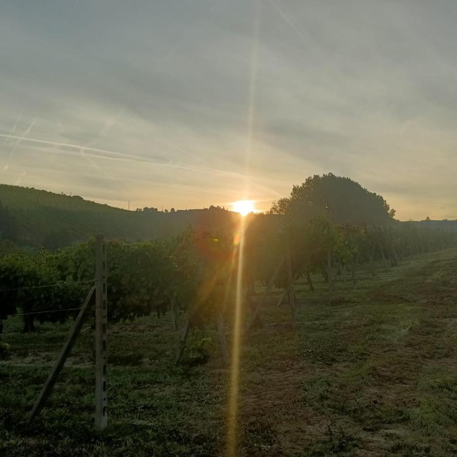 1929 Wine Food Relax Agriturismo Acqui Terme Εξωτερικό φωτογραφία