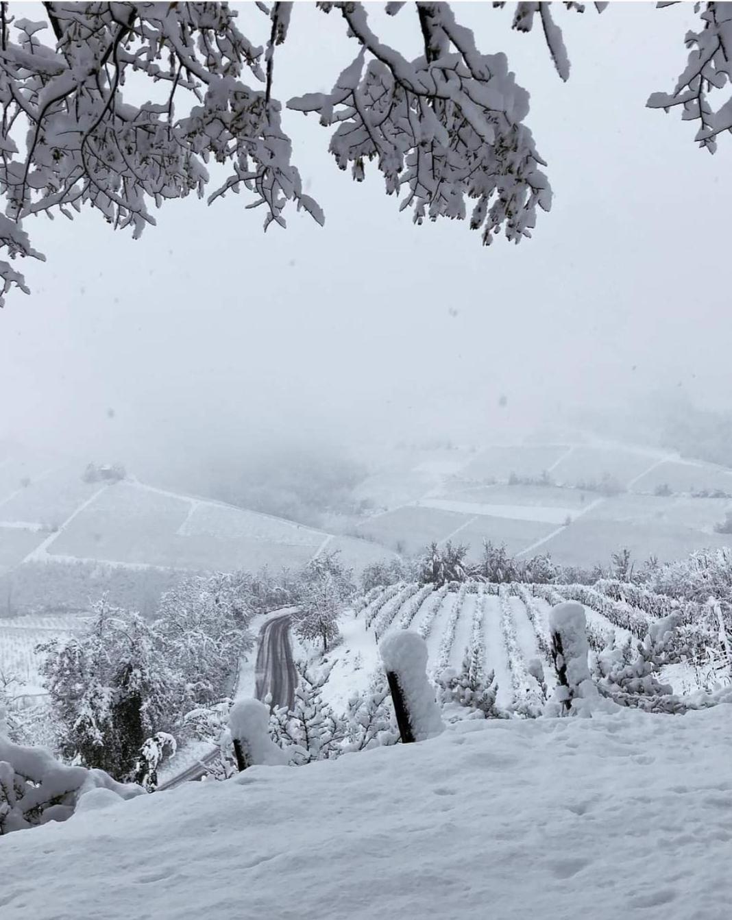 1929 Wine Food Relax Agriturismo Acqui Terme Εξωτερικό φωτογραφία