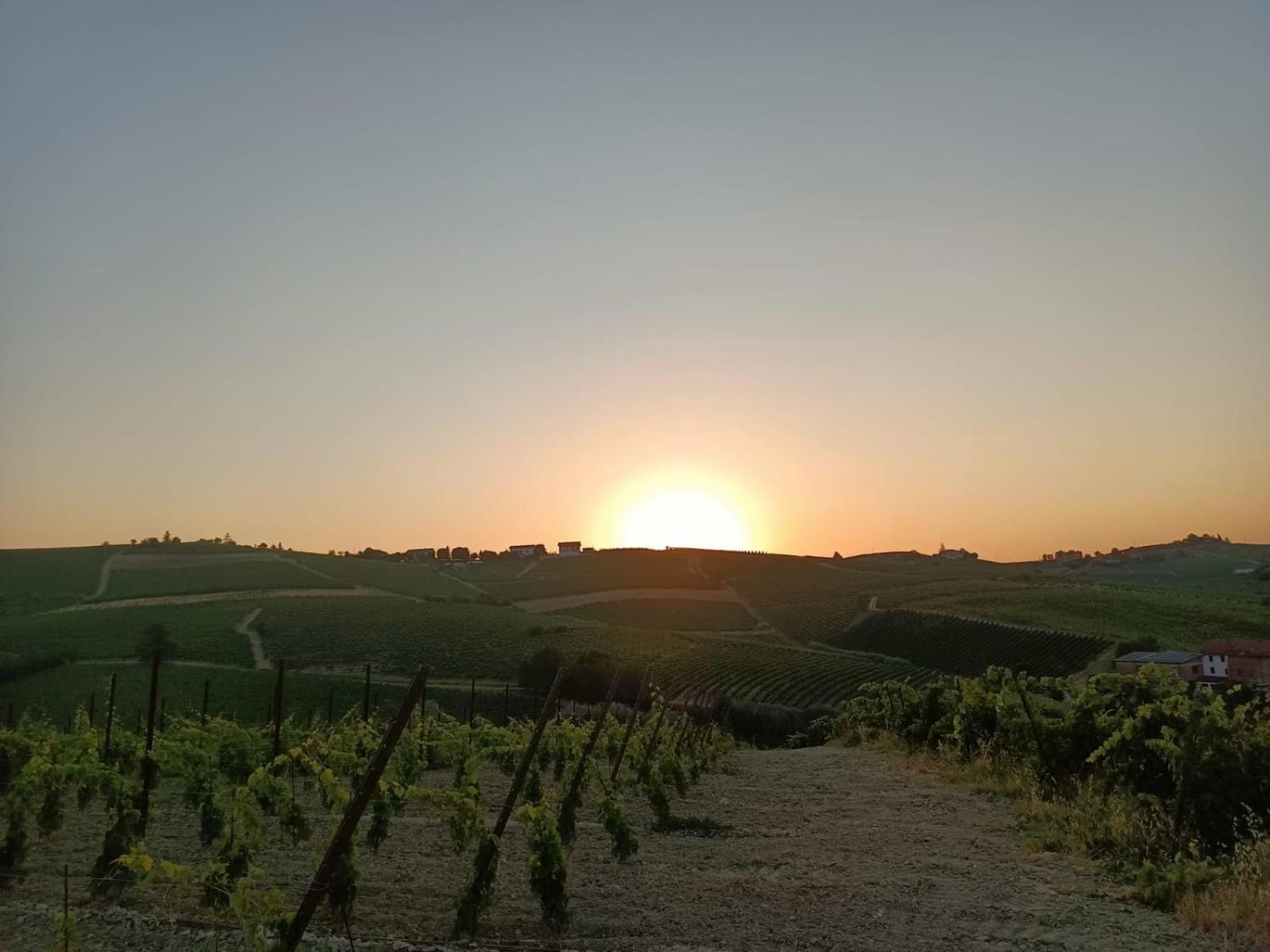1929 Wine Food Relax Agriturismo Acqui Terme Εξωτερικό φωτογραφία