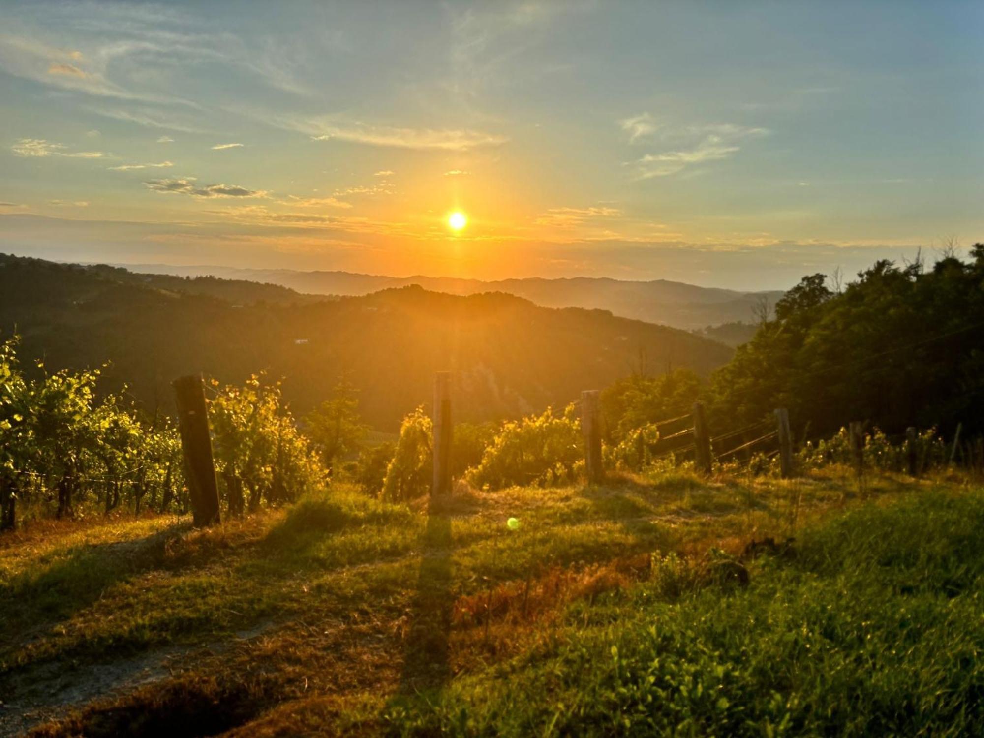 1929 Wine Food Relax Agriturismo Acqui Terme Εξωτερικό φωτογραφία